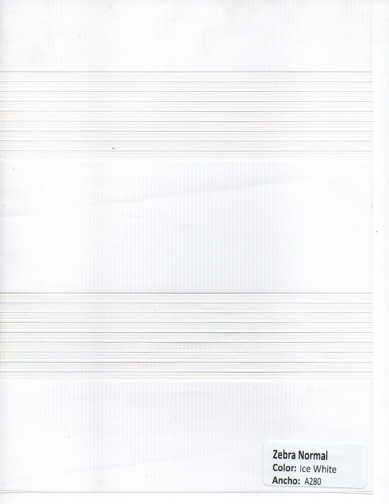 Zebra Normal Ice White